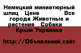 Немецкий миниатюрный шпиц › Цена ­ 60 000 - Все города Животные и растения » Собаки   . Крым,Украинка